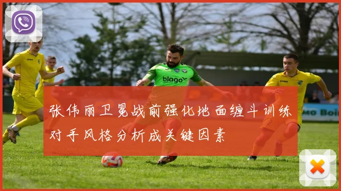 张伟丽卫冕战前强化地面缠斗训练对手风格分析成关键因素