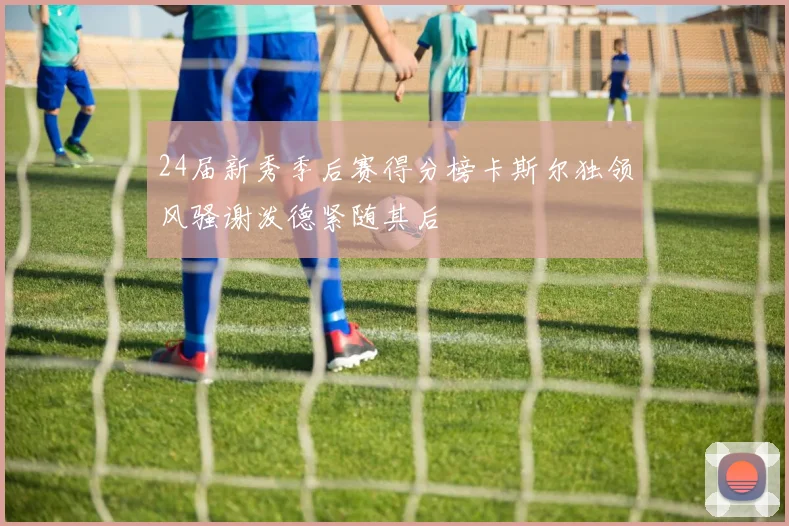24届新秀季后赛得分榜卡斯尔独领风骚谢泼德紧随其后