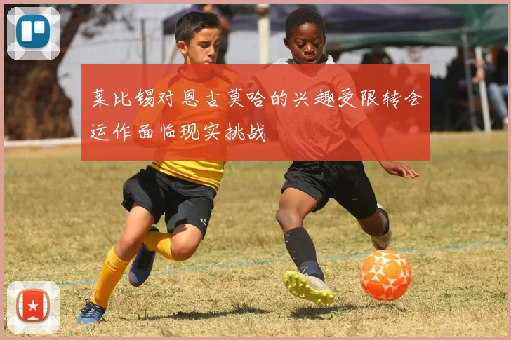 莱比锡对恩古莫哈的兴趣受限转会运作面临现实挑战